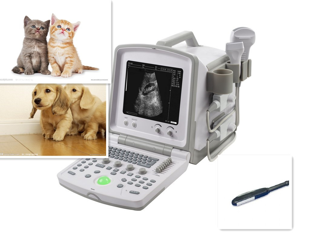 KR-880VET Ultrasound Scanner