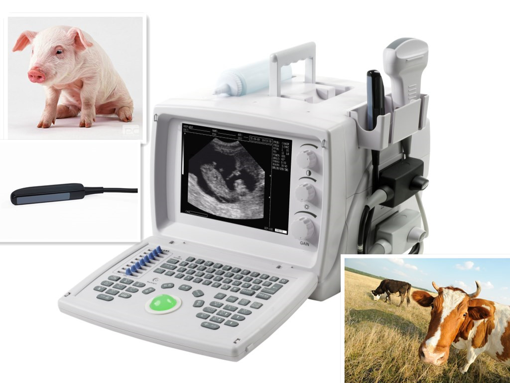 KR-880Z VET Ultrasound scanner