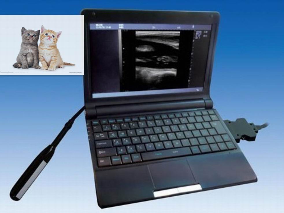 KR-2088Z laptop VET ultrasound