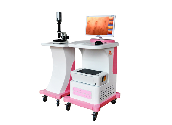 Polymorphic micro-circulation medical imaging work